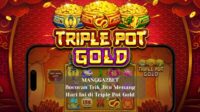 Bocoran Trik Jitu Menang Hari Ini di Triple Pot Gold