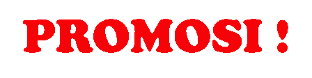 Promosi