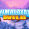 Himalayan Wild