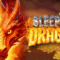 Pola Sleeping Dragon